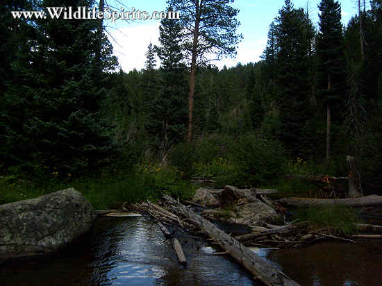 Click Picture to send as an  E-PostCard 66k 550x412